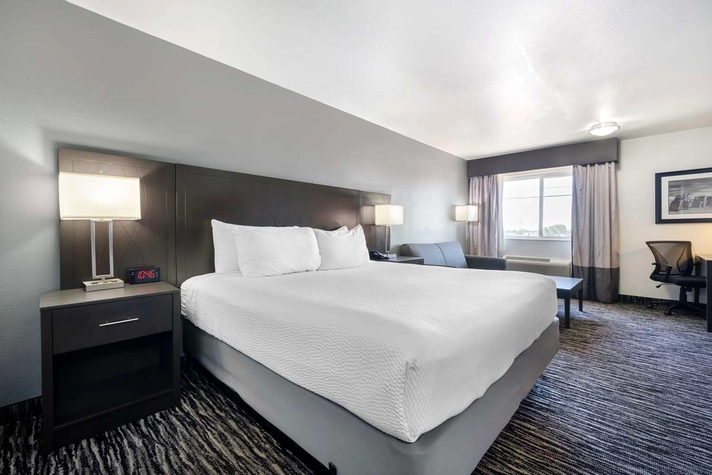 King Room