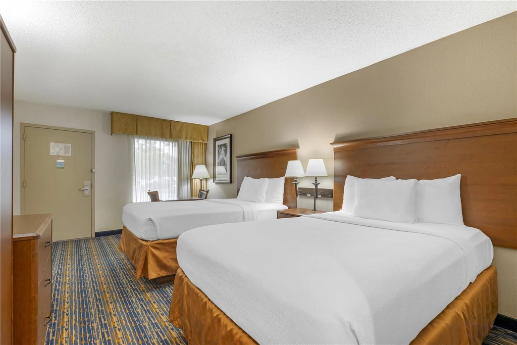 Double Double Beds