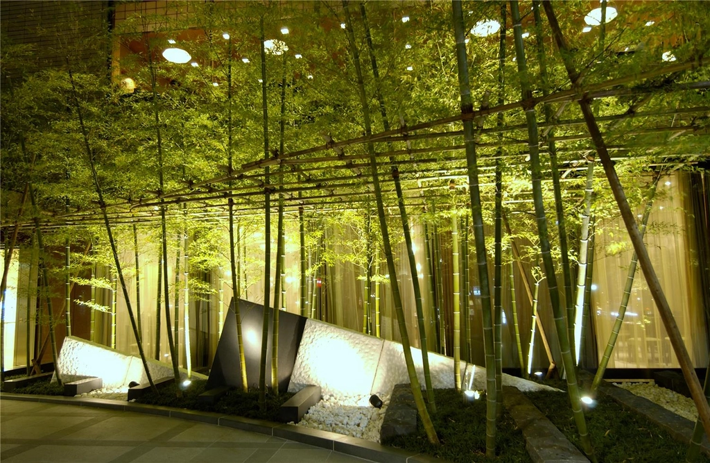 Bamboo Grove