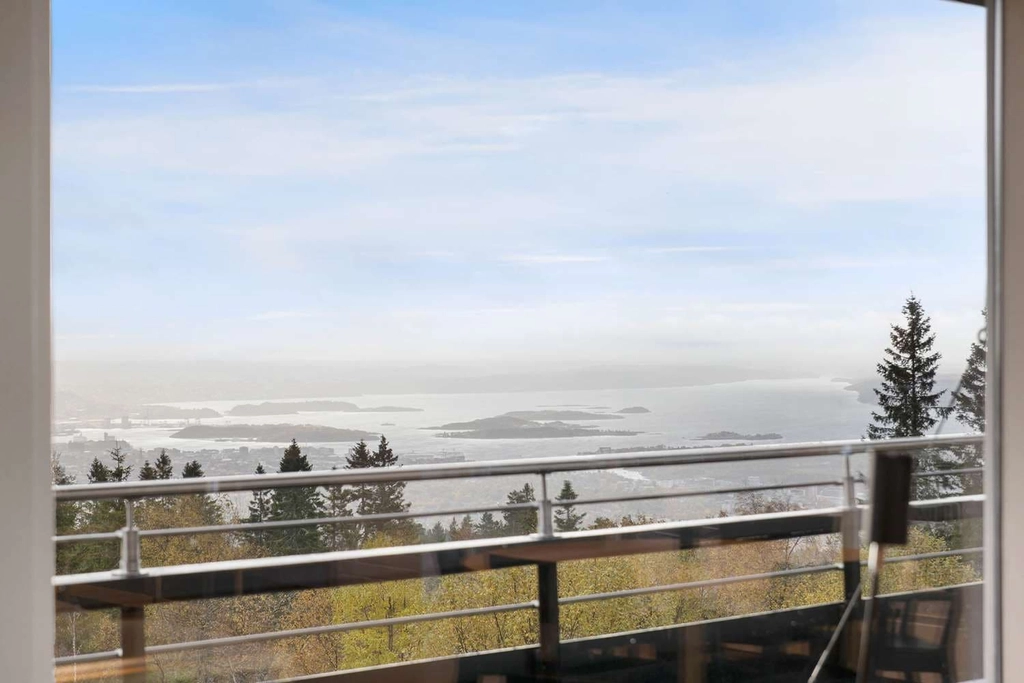view