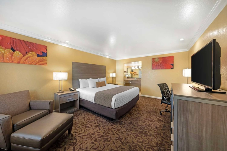 King Room