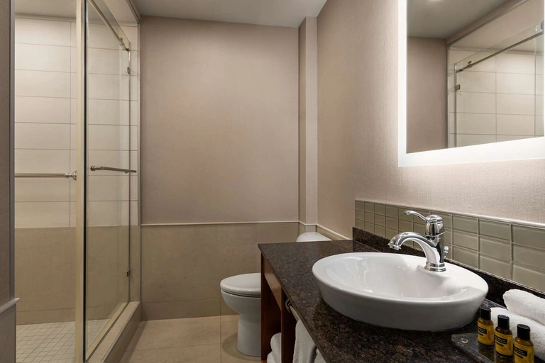 Best Western Plus Quebec City Center King Room