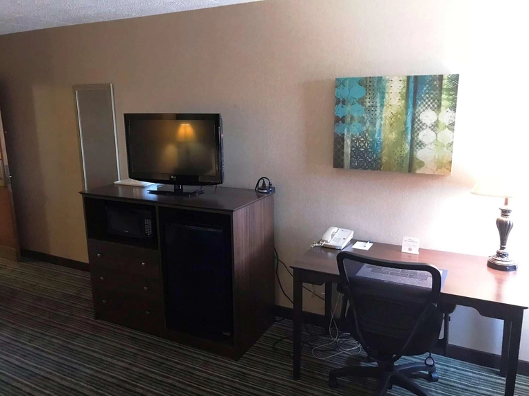 Whirlpool Suite with One King Bed