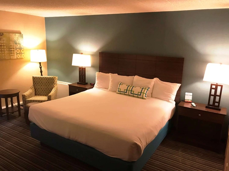 Whirlpool Suite with One King Bed