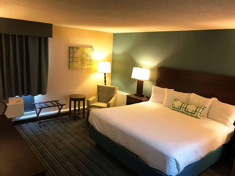 Whirlpool Suite with One King Bed