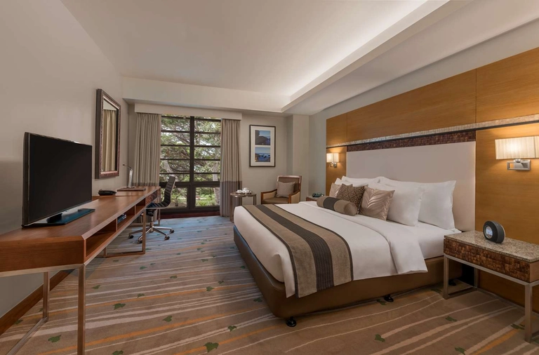 Premier Room