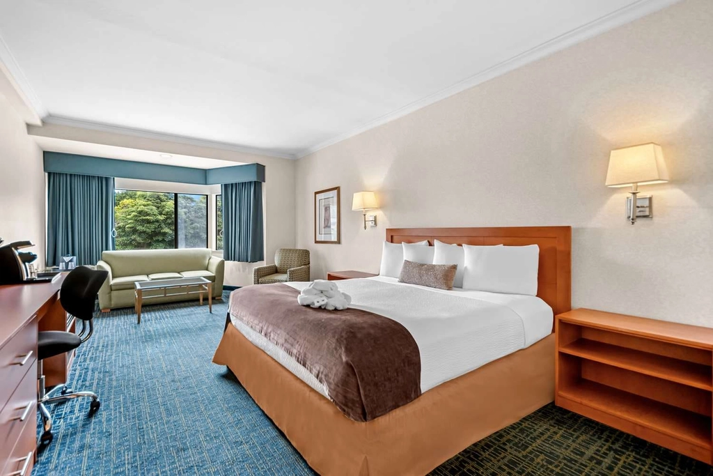 ADA King Room