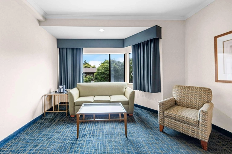 ADA King Room