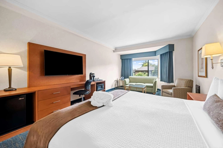 ADA King Room