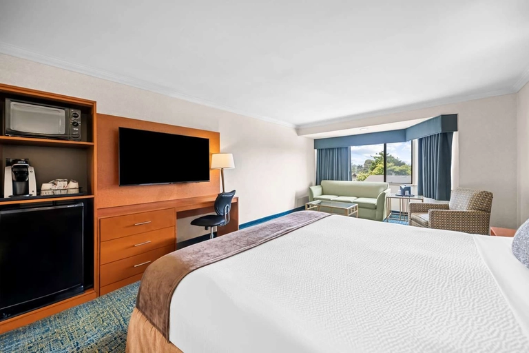 ADA King Room