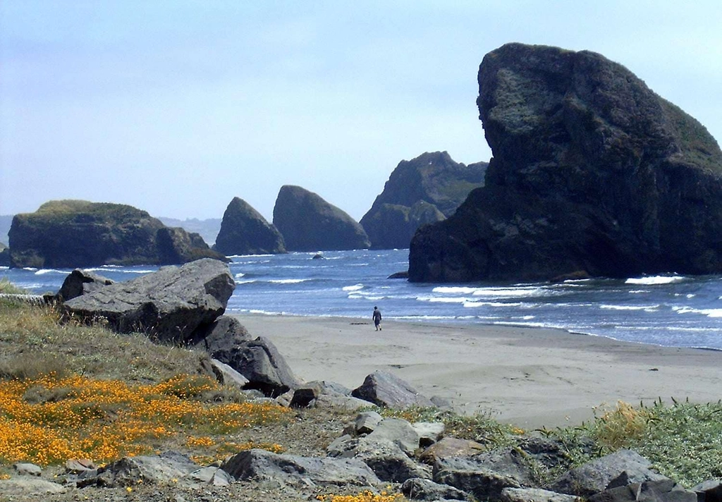 Oregon Coast Line