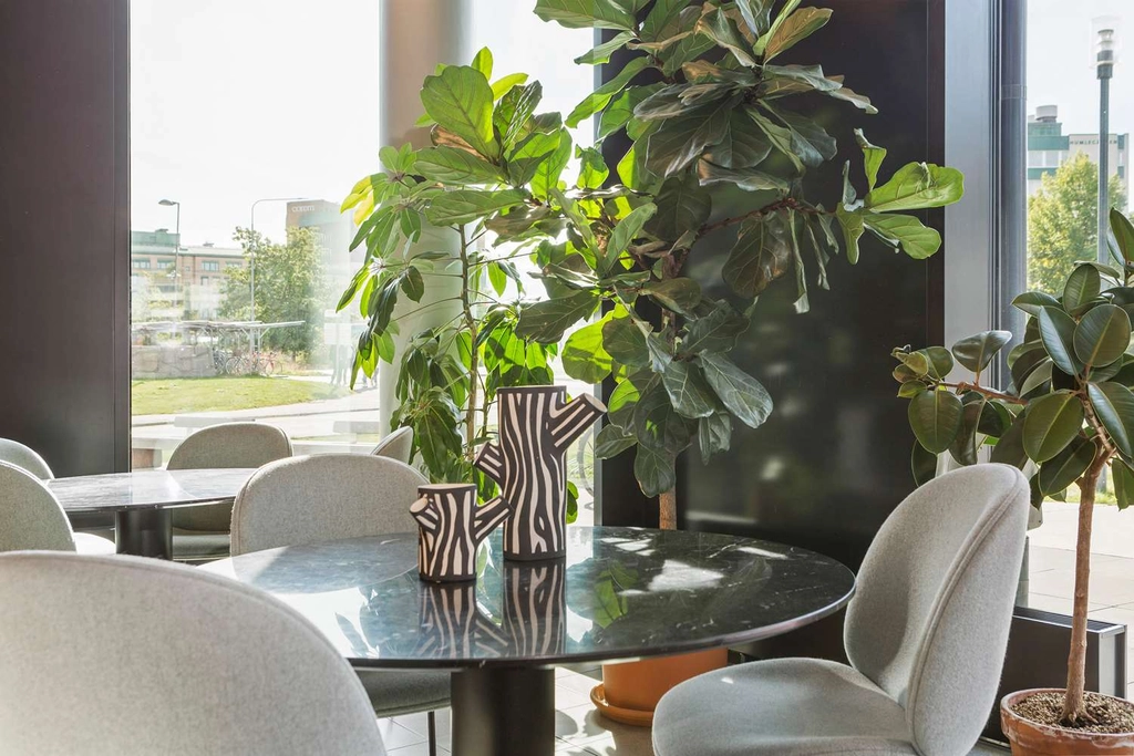 BW Grow hotel lobby