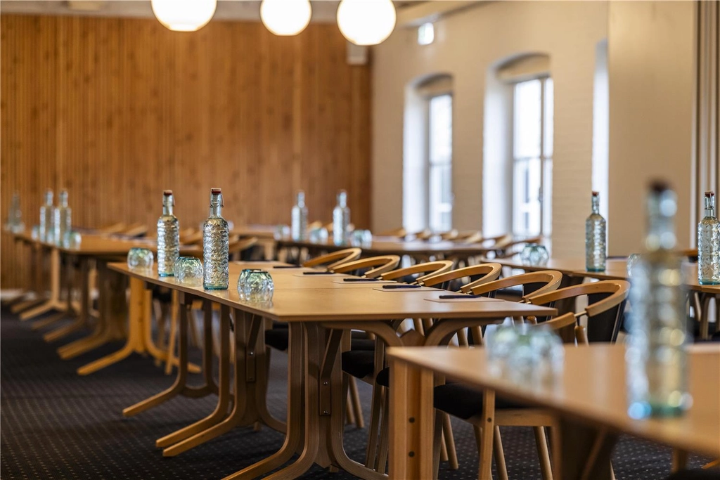 Hotel Birkso meeting