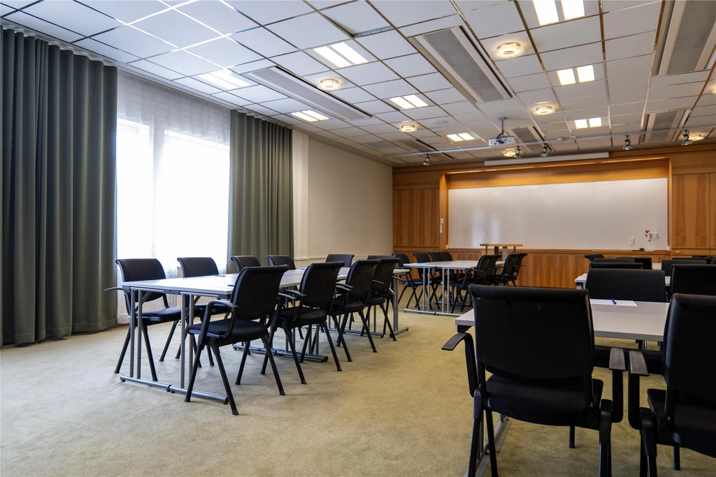 Conferance Toro ett BW Skogshojd