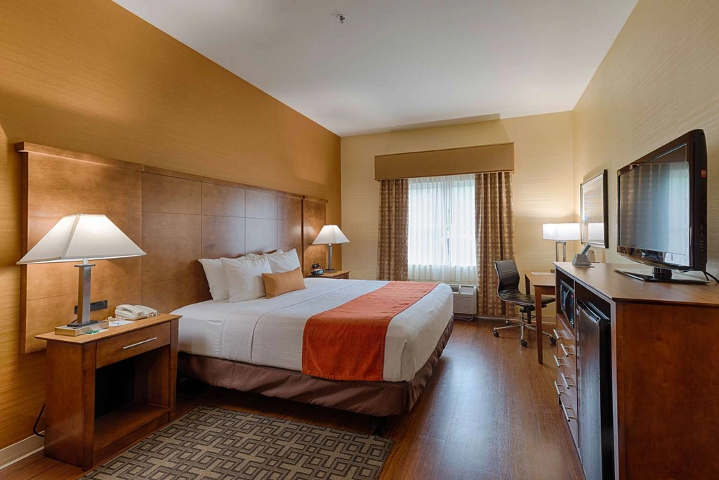 pet friendly room