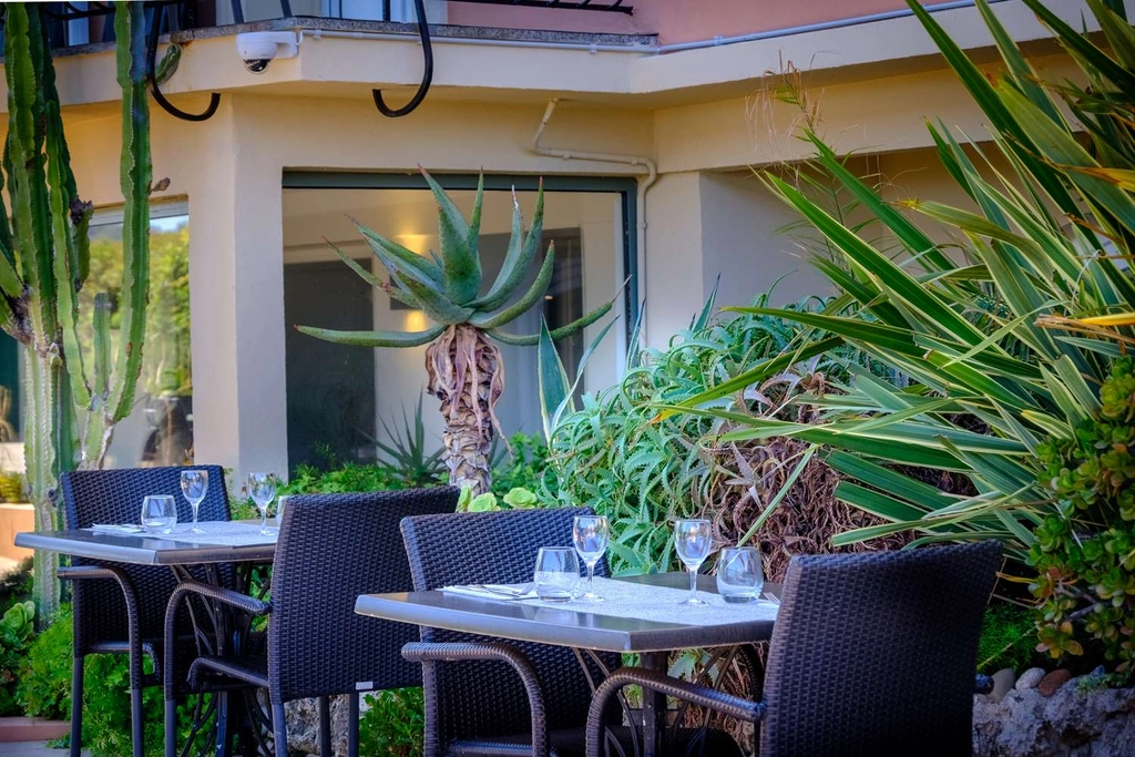 Restaurant - Terrace