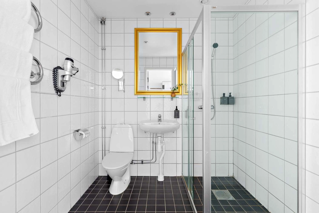 Bathroom BW Karlaplan