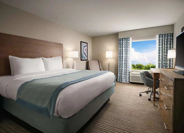 One king geust room