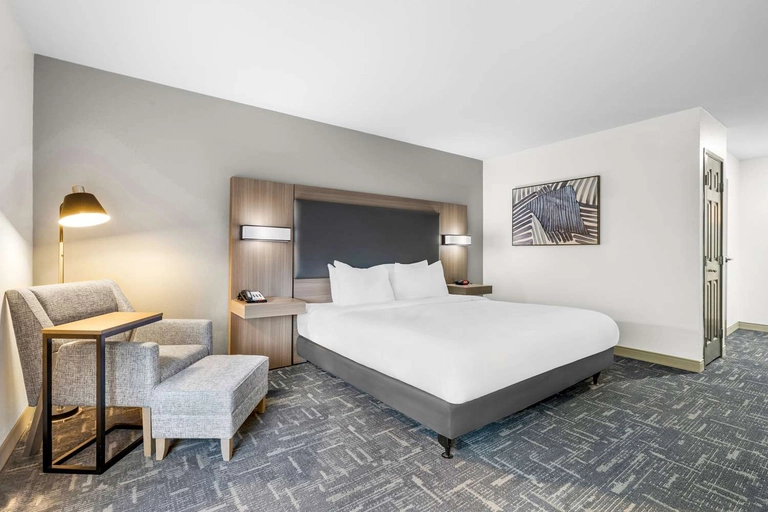 ADA King Room