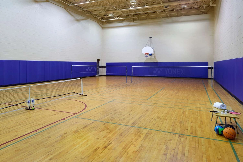 Full-size Gymnasium (On-site)