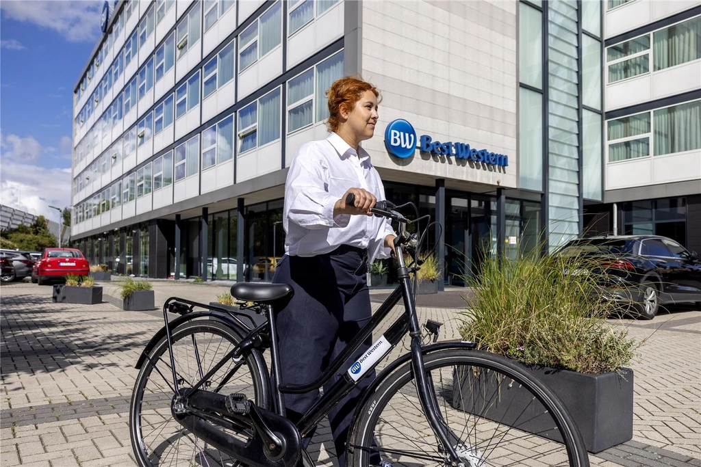 Amsterdam by Bike