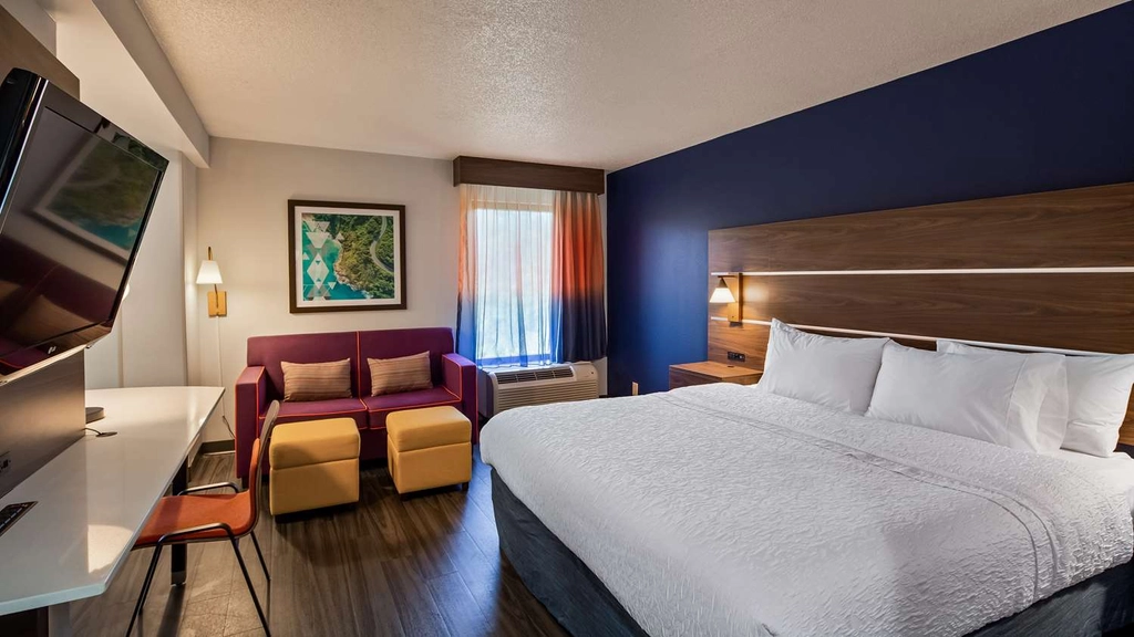 King Room w/ Sofabed & Wetbar