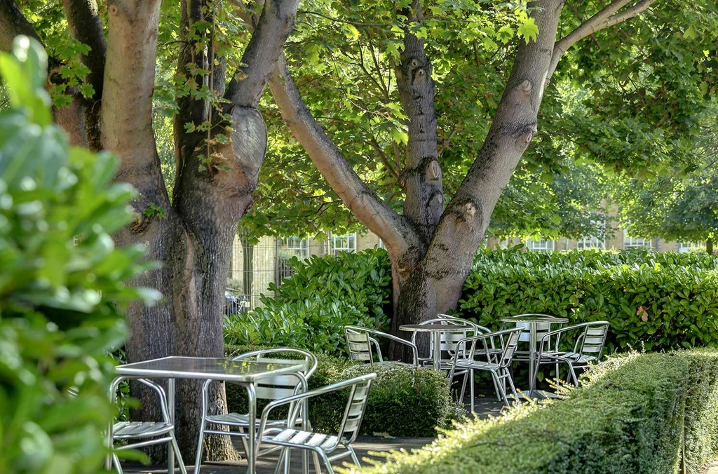 Hotel Grounds