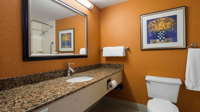 King ADA Mobility Accessible Room