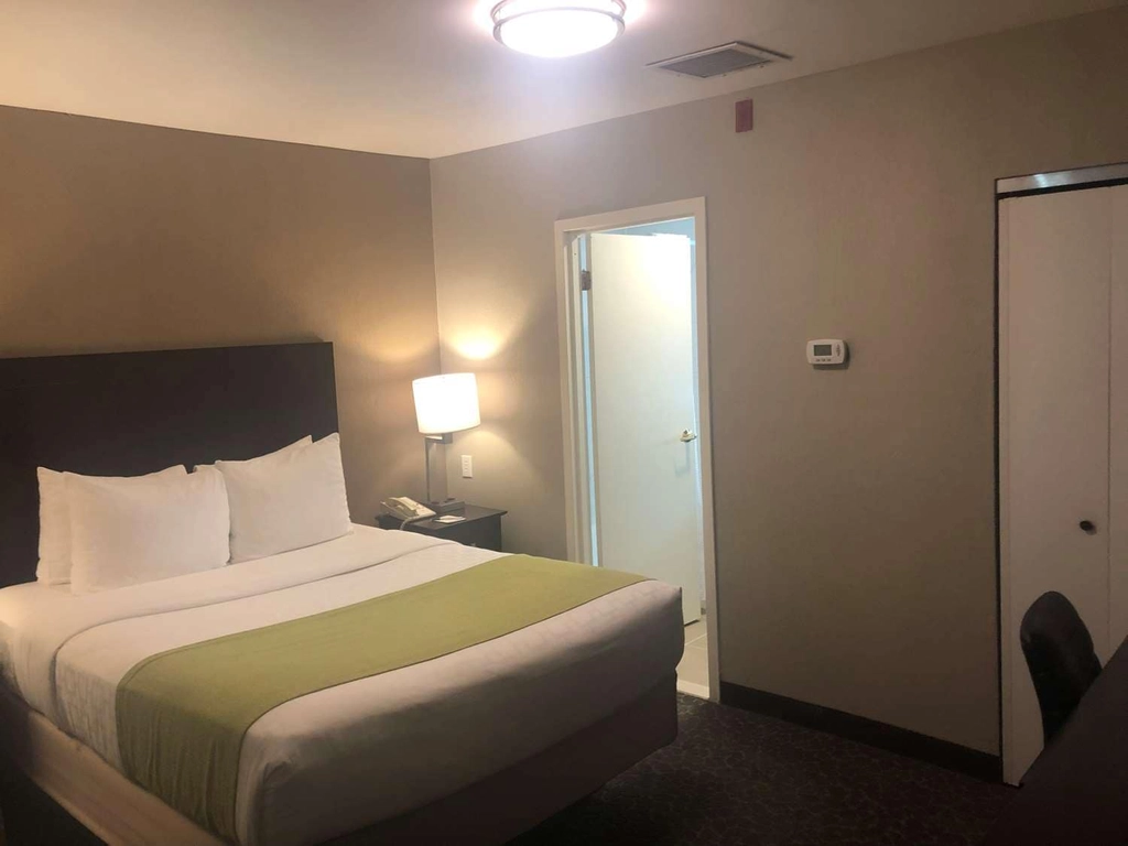 Queen Suite