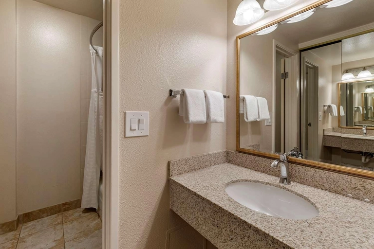 Double Queen Room Carpet