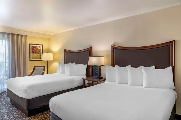 Double Queen Room Carpet