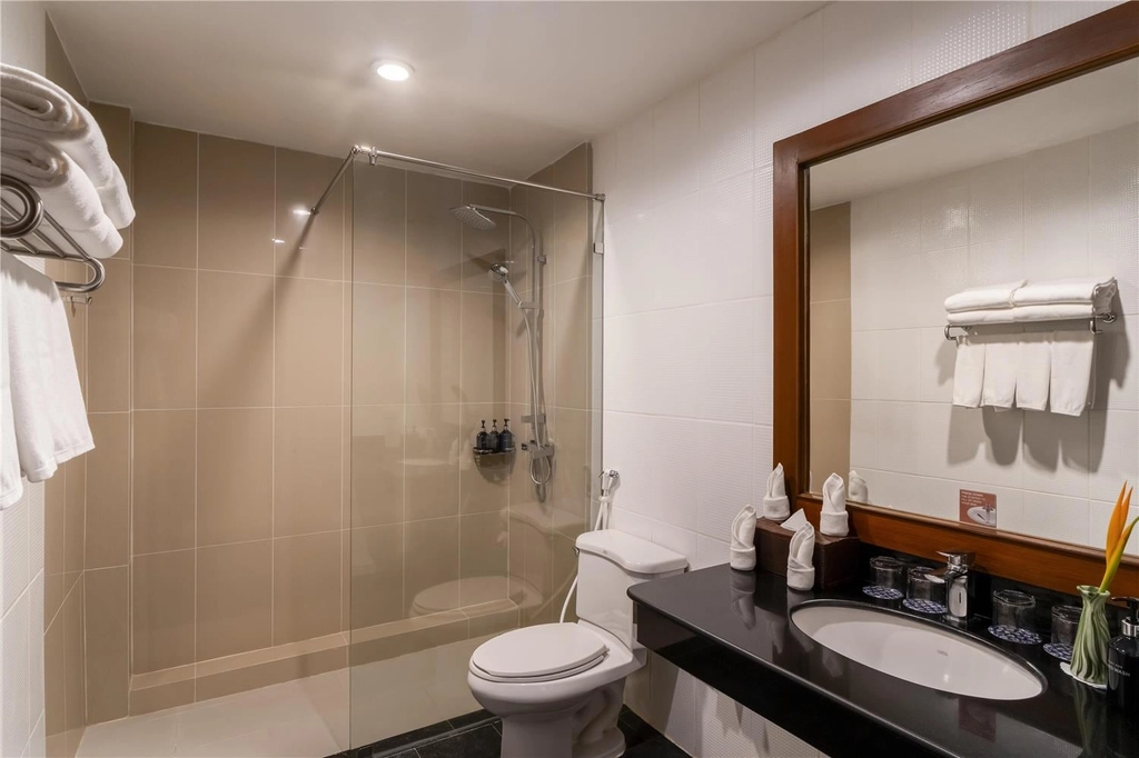 deluxe family villa wing Bathroom