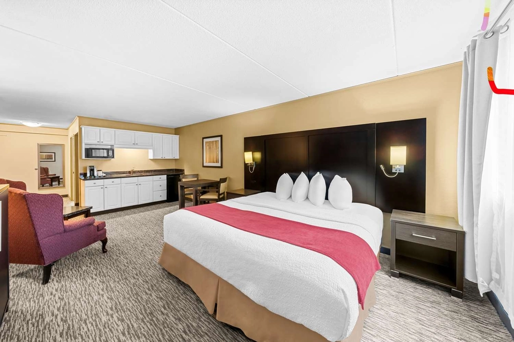 King Bed Suite