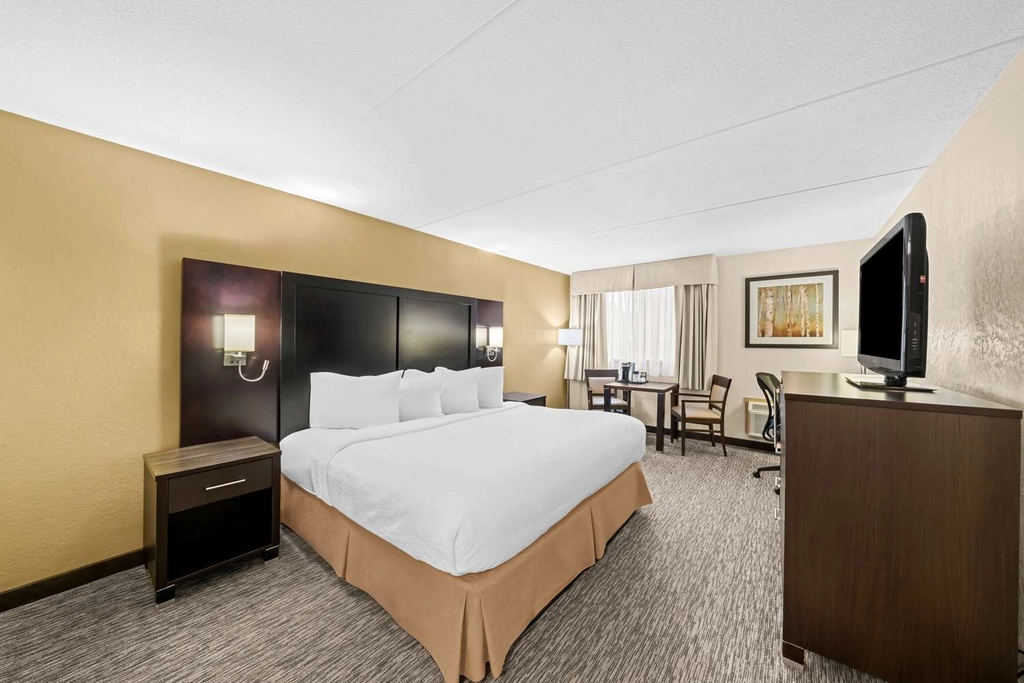 King Bed Room