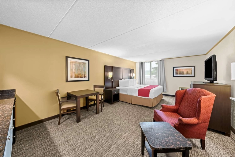 King Bed Suite