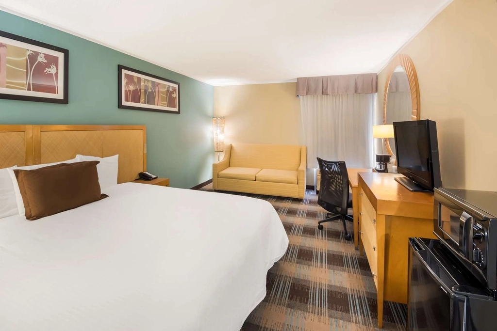 KingSuite
